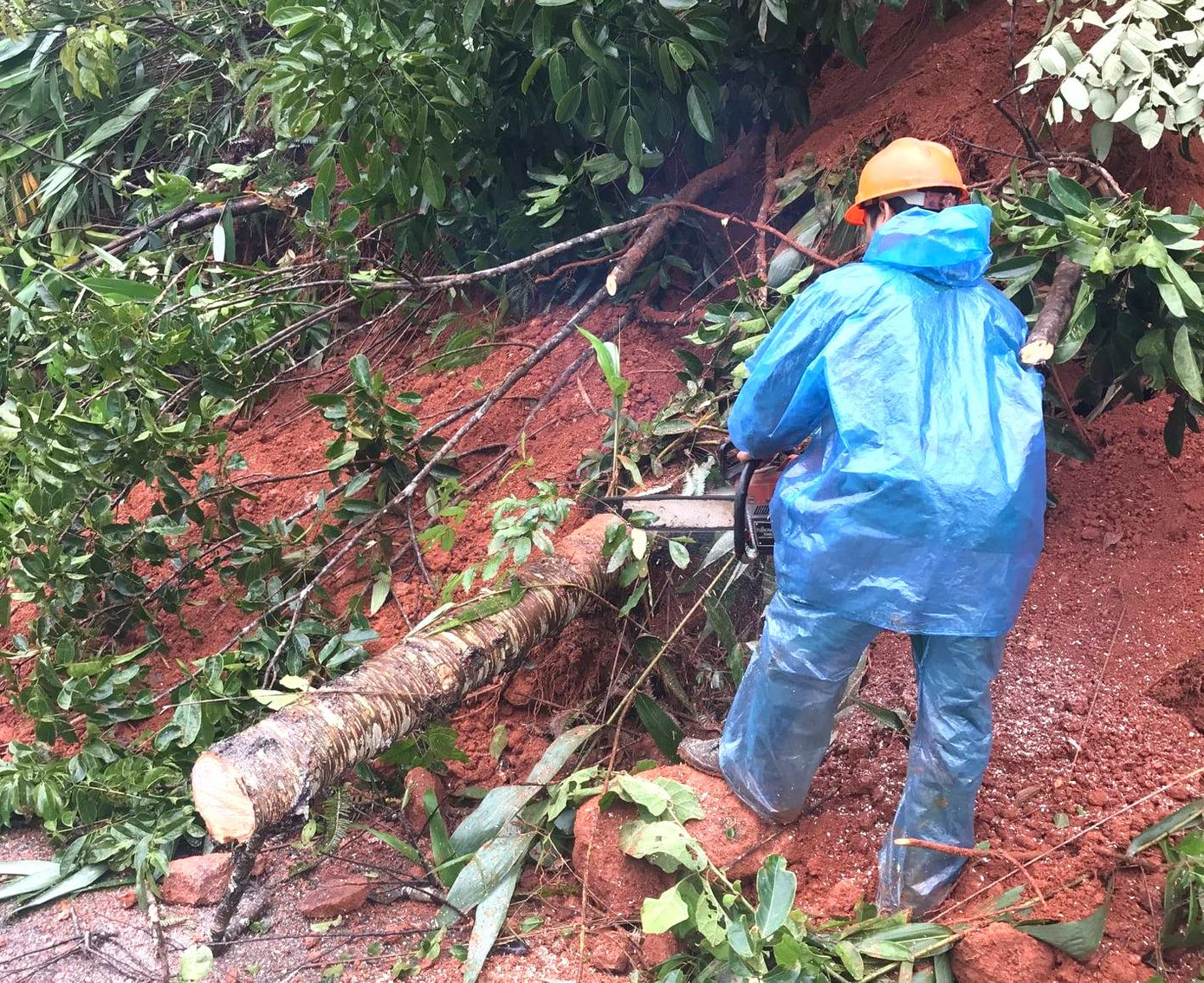 Gia Lai - Kon Tum tan hoang sau bão số 9 ảnh 1