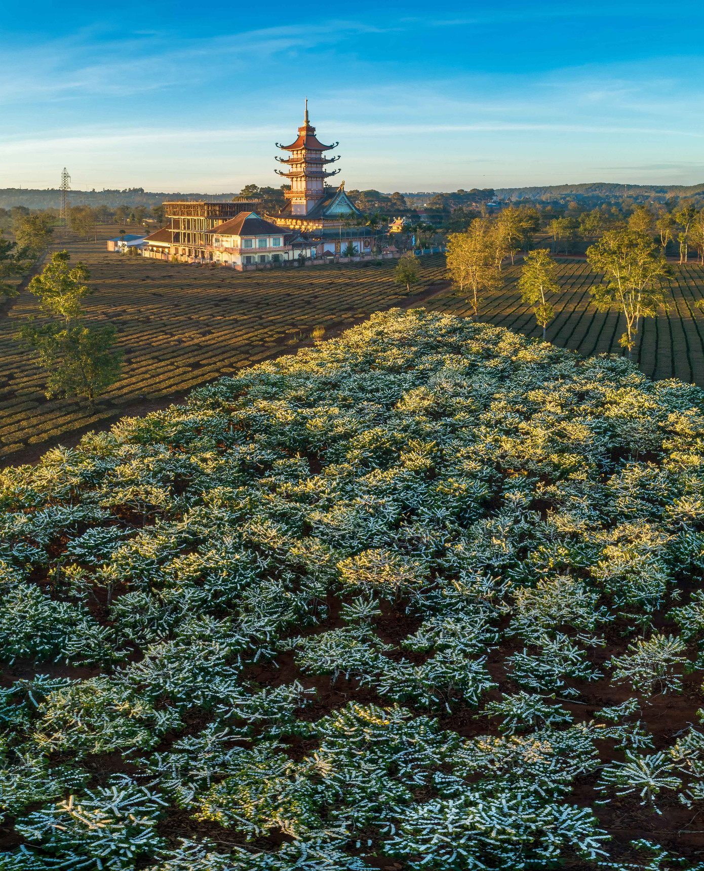 Thảng thốt trước loạt cảnh đẹp quanh phố núi Pleiku ảnh 13