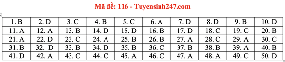 Gợi ý đầy đủ 24 mã đề Toán thi tốt nghiệp THPT ảnh 21