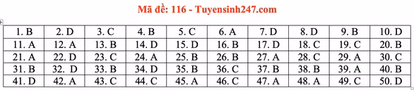 Gợi ý đầy đủ 24 mã đề Toán thi tốt nghiệp THPT ảnh 21