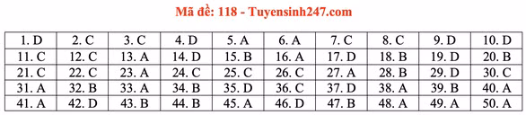 Gợi ý đầy đủ 24 mã đề Toán thi tốt nghiệp THPT ảnh 23