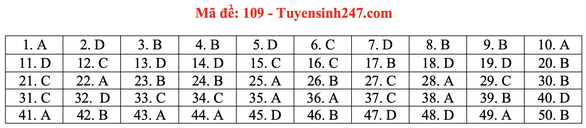 Gợi ý đầy đủ 24 mã đề Toán thi tốt nghiệp THPT ảnh 14