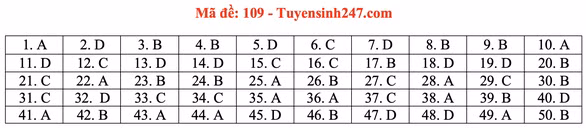 Gợi ý đầy đủ 24 mã đề Toán thi tốt nghiệp THPT ảnh 14