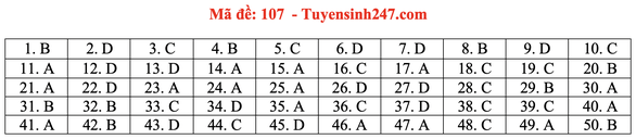Gợi ý đầy đủ 24 mã đề Toán thi tốt nghiệp THPT ảnh 12