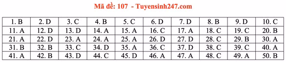 Gợi ý đầy đủ 24 mã đề Toán thi tốt nghiệp THPT ảnh 12