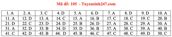Gợi ý đầy đủ 24 mã đề Toán thi tốt nghiệp THPT ảnh 10