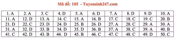 Gợi ý đầy đủ 24 mã đề Toán thi tốt nghiệp THPT ảnh 10