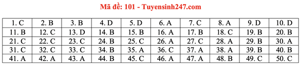Gợi ý đầy đủ 24 mã đề Toán thi tốt nghiệp THPT ảnh 6