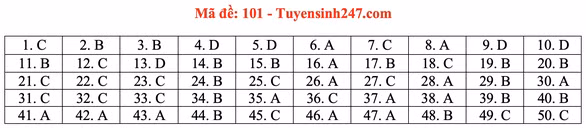 Gợi ý đầy đủ 24 mã đề Toán thi tốt nghiệp THPT ảnh 6