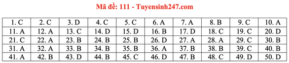 Gợi ý đầy đủ 24 mã đề Toán thi tốt nghiệp THPT ảnh 16