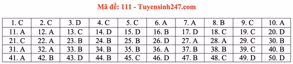 Gợi ý đầy đủ 24 mã đề Toán thi tốt nghiệp THPT ảnh 16