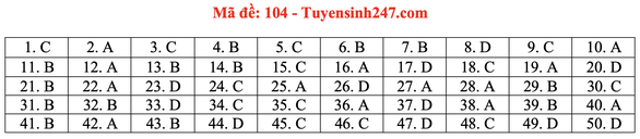 Gợi ý đầy đủ 24 mã đề Toán thi tốt nghiệp THPT ảnh 9