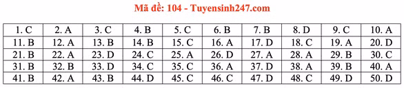 Gợi ý đầy đủ 24 mã đề Toán thi tốt nghiệp THPT ảnh 9