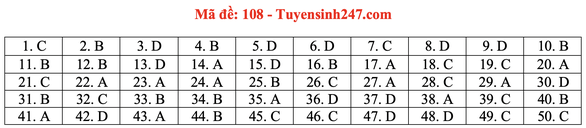 Gợi ý đầy đủ 24 mã đề Toán thi tốt nghiệp THPT ảnh 13