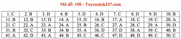 Gợi ý đầy đủ 24 mã đề Toán thi tốt nghiệp THPT ảnh 13