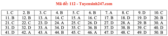 Gợi ý đầy đủ 24 mã đề Toán thi tốt nghiệp THPT ảnh 17