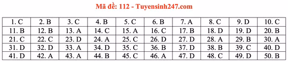 Gợi ý đầy đủ 24 mã đề Toán thi tốt nghiệp THPT ảnh 17