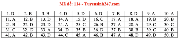 Gợi ý đầy đủ 24 mã đề Toán thi tốt nghiệp THPT ảnh 19