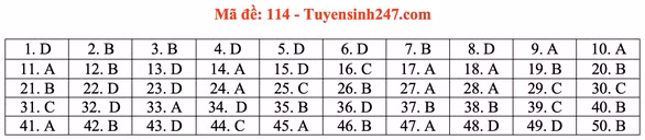 Gợi ý đầy đủ 24 mã đề Toán thi tốt nghiệp THPT ảnh 19