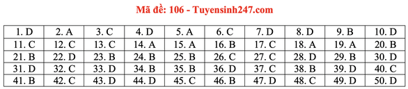Gợi ý đầy đủ 24 mã đề Toán thi tốt nghiệp THPT ảnh 11