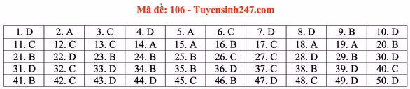 Gợi ý đầy đủ 24 mã đề Toán thi tốt nghiệp THPT ảnh 11