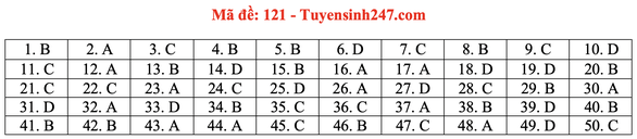 Gợi ý đầy đủ 24 mã đề Toán thi tốt nghiệp THPT ảnh 25