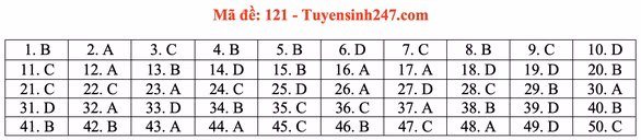 Gợi ý đầy đủ 24 mã đề Toán thi tốt nghiệp THPT ảnh 25