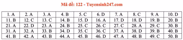 Gợi ý đầy đủ 24 mã đề Toán thi tốt nghiệp THPT ảnh 26