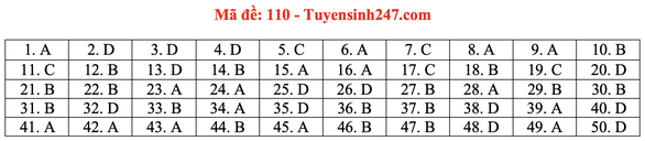 Gợi ý đầy đủ 24 mã đề Toán thi tốt nghiệp THPT ảnh 15