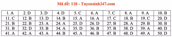 Gợi ý đầy đủ 24 mã đề Toán thi tốt nghiệp THPT ảnh 15