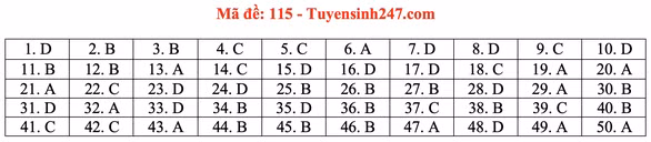 Gợi ý đầy đủ 24 mã đề Toán thi tốt nghiệp THPT ảnh 20