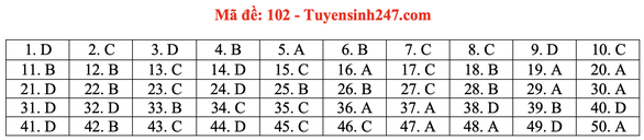 Gợi ý đầy đủ 24 mã đề Toán thi tốt nghiệp THPT ảnh 7