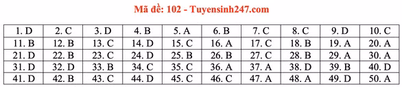 Gợi ý đầy đủ 24 mã đề Toán thi tốt nghiệp THPT ảnh 7