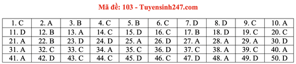 Gợi ý đầy đủ 24 mã đề Toán thi tốt nghiệp THPT ảnh 8