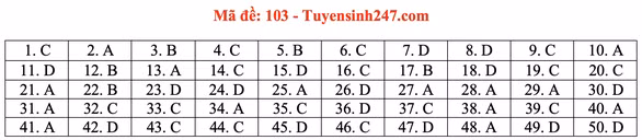 Gợi ý đầy đủ 24 mã đề Toán thi tốt nghiệp THPT ảnh 8