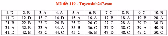 Gợi ý đầy đủ 24 mã đề Toán thi tốt nghiệp THPT ảnh 24
