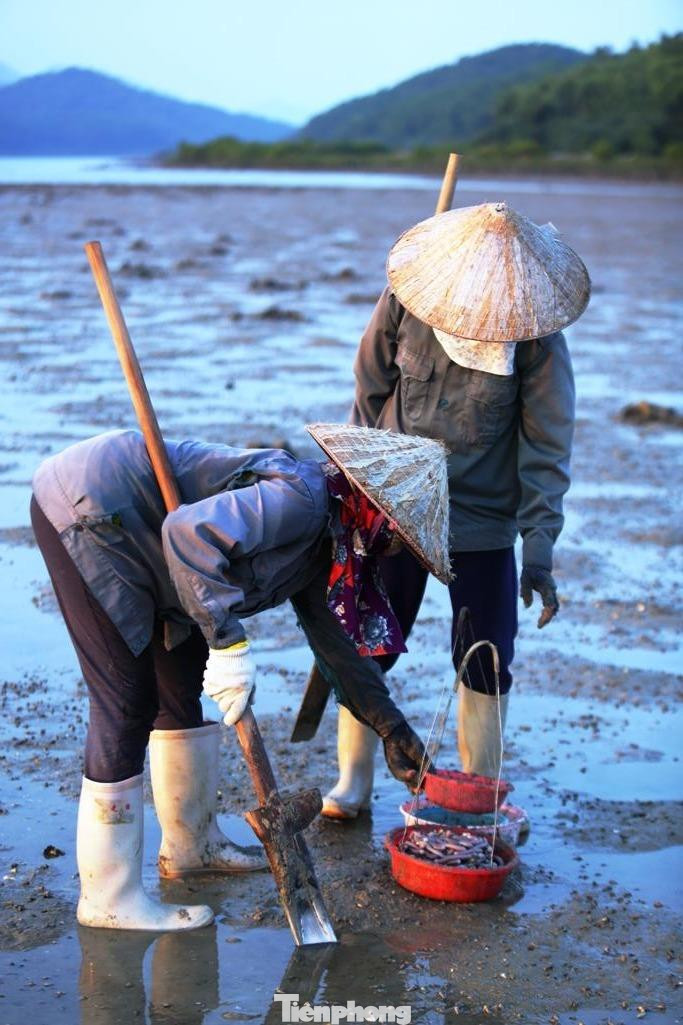 Cuộc sống của những phụ nữ săn 'sâm đất' ảnh 4