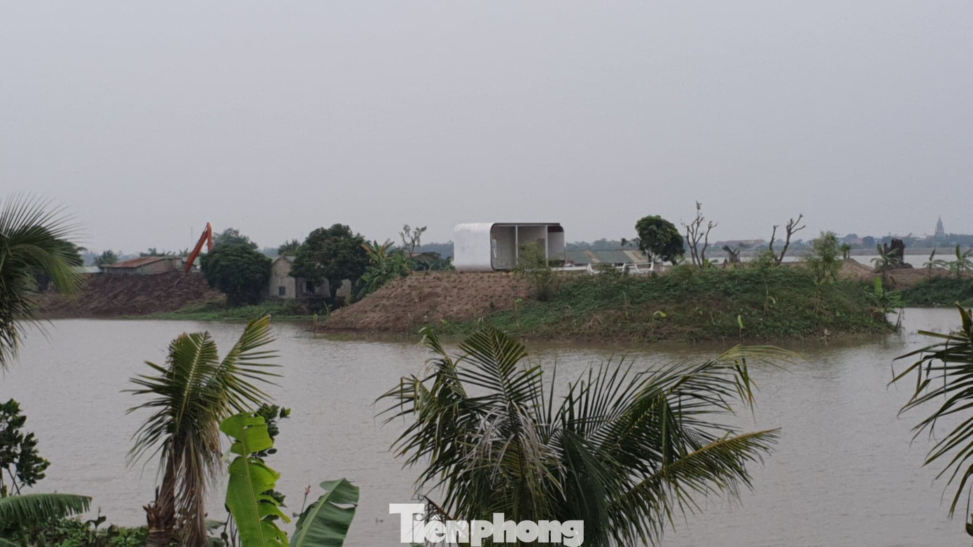 Ngang nhiên trồng hàng trăm cây lâu năm xâm phạm đê sông Đáy ảnh 8