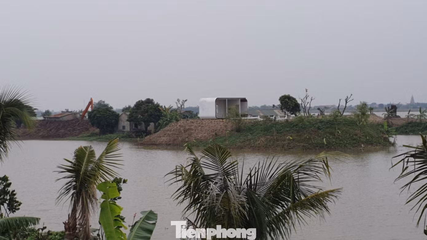 Ngang nhiên trồng hàng trăm cây lâu năm xâm phạm đê sông Đáy ảnh 8