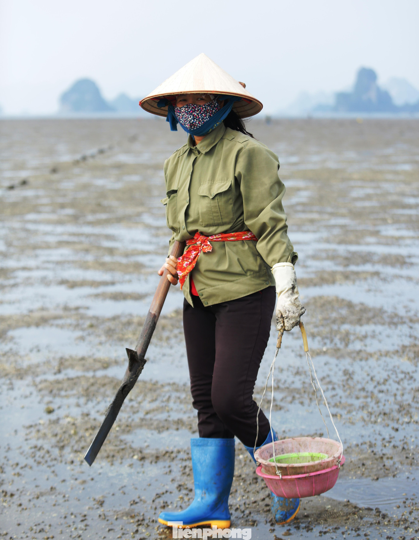 Cuộc sống của những phụ nữ săn 'sâm đất' ảnh 1