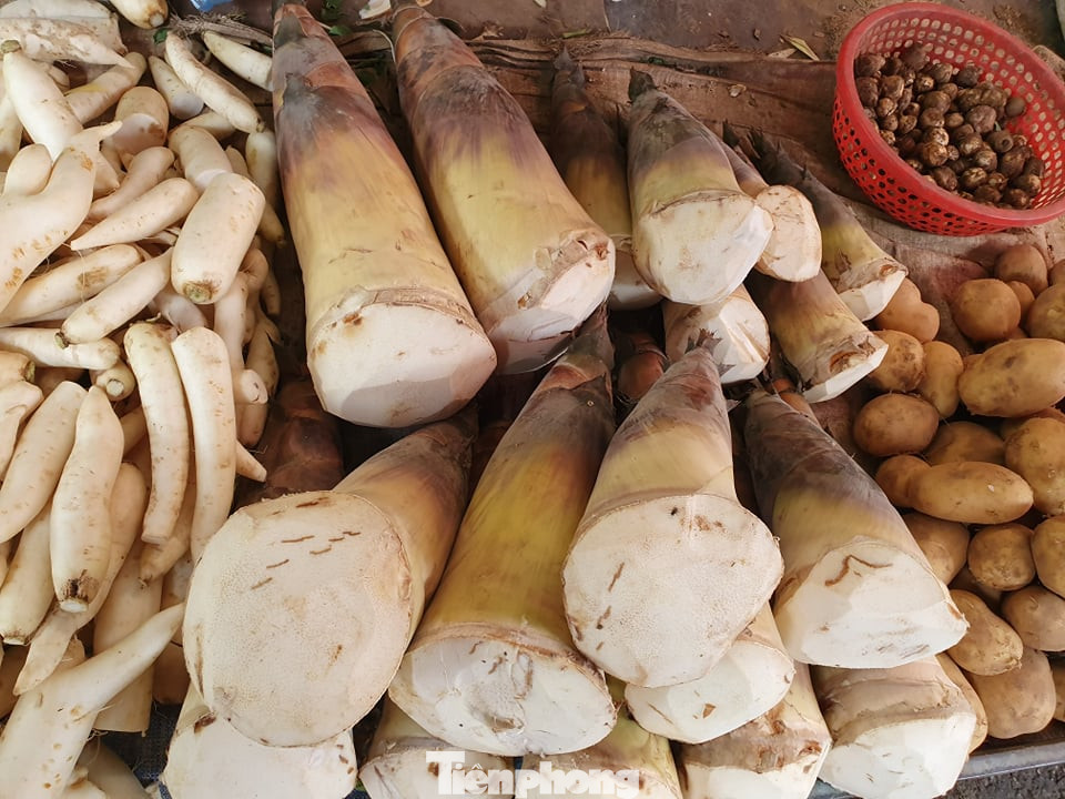 Măng rừng vào mùa tươi ngon, ngập tràn chợ Hà Nội ảnh 2