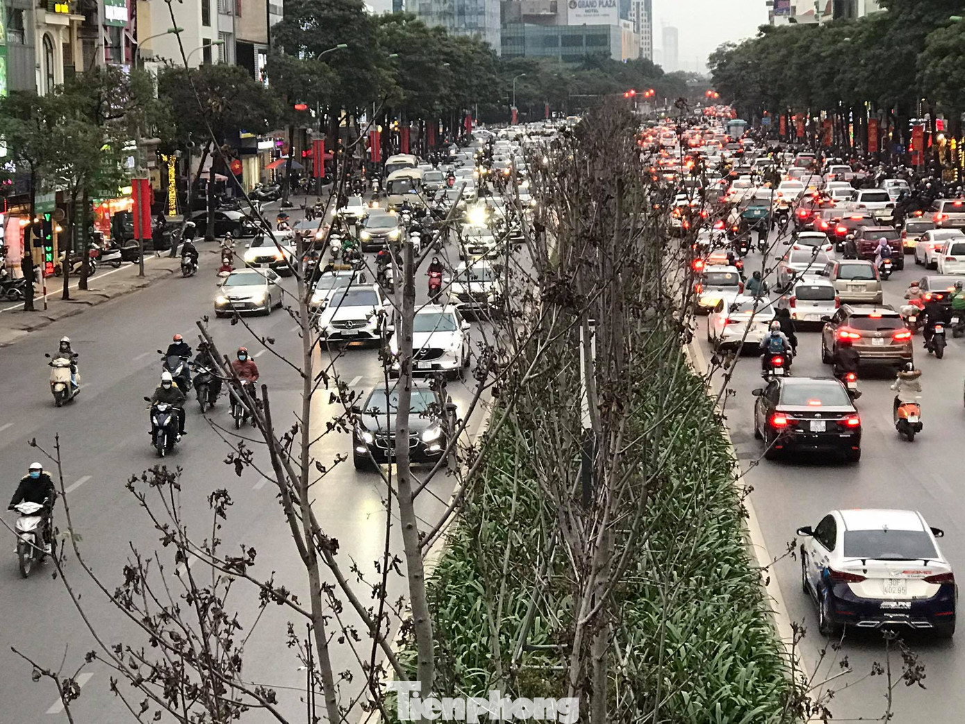 Qua ba mùa rét, hàng phong trồng tại Hà Nội vẫn chưa đỏ lá ảnh 3