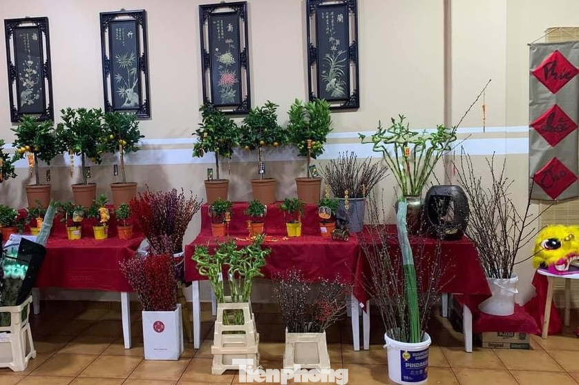 Người Việt xa xứ gói bánh chưng nhớ hương vị Tết quê hương ảnh 1