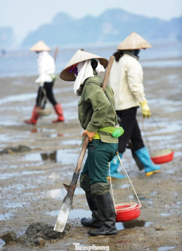 Cuộc sống của những phụ nữ săn 'sâm đất' ảnh 5