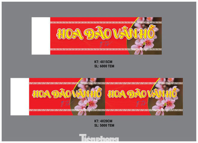 Tem dán cho đào về xuôi của thủ phủ đào rừng Tây Bắc được thiết kế ra sao? ảnh 1