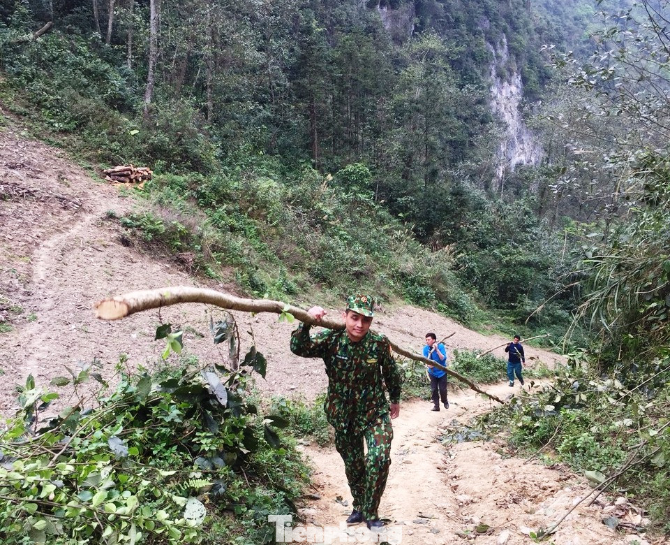 Xếp bút nghiên lên đường chống dịch ảnh 2