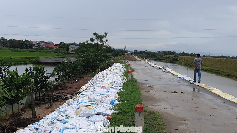 Cận cảnh đường đê còn bảo hành đã sụt trượt nghiêm trọng ở Phú Thọ ảnh 4