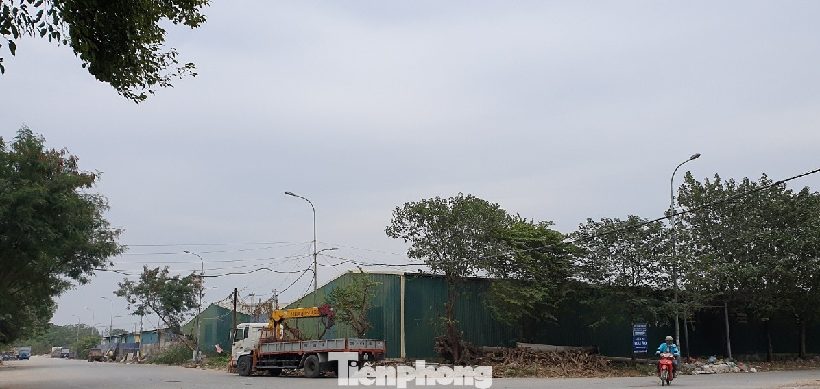 Cận cảnh khu nhà xưởng trái phép rộng hàng nghìn m2 trên đất trường học ở Hà Nội ảnh 5