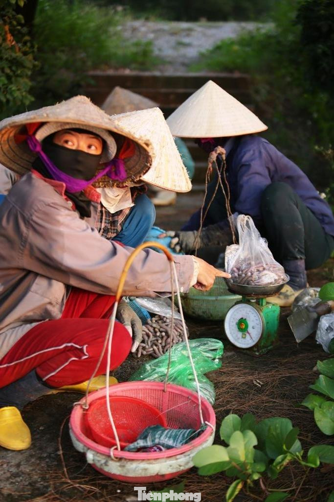 Cuộc sống của những phụ nữ săn 'sâm đất' ảnh 7