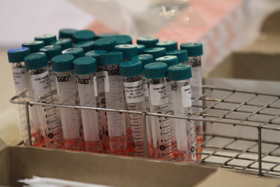 Đón đồng bào hồi hương ở sân bay Nội Bài ảnh 6